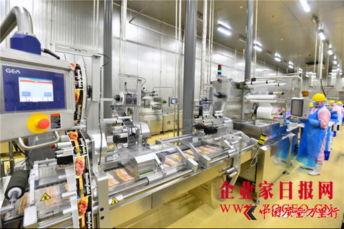 雙匯發(fā)展 完善產(chǎn)業(yè)布局，增強(qiáng)核心競爭力，攜手鄭州軟件推動產(chǎn)業(yè)升級